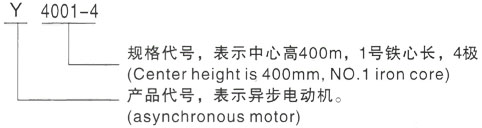 西安泰富西玛Y系列(H355-1000)高压YJTG-100L1-4A/2.2KW三相异步电机型号说明