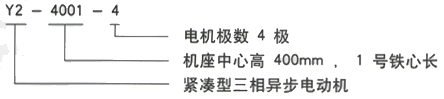 YR系列(H355-1000)高压YJTG-100L1-4A/2.2KW三相异步电机西安西玛电机型号说明